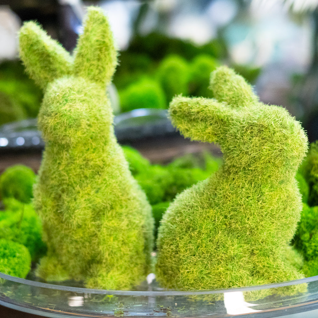 Mossy Green Sitting Bunny