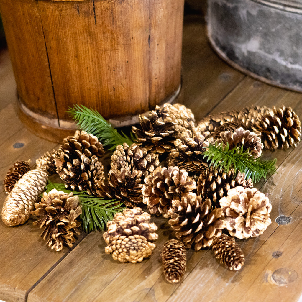 Cylinder of Assorted Gold Tipped Pinecones & Pine Sprigs