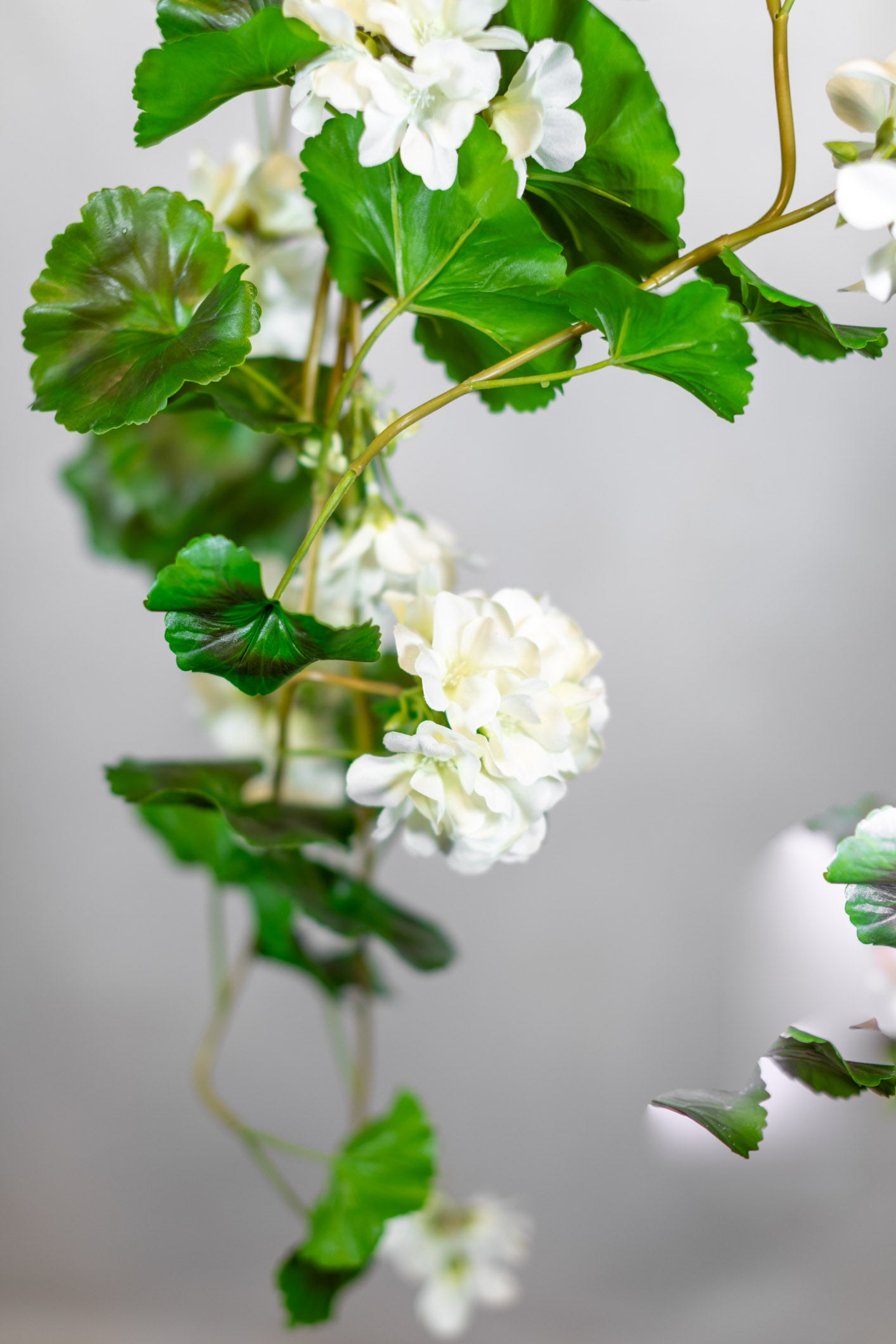 Natural Touch Summer Hanging White Geranium Plant UV