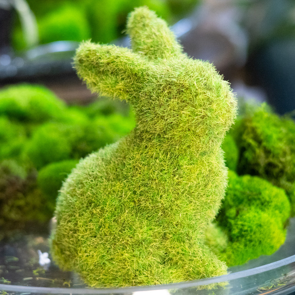 Mossy Green Sitting Bunny