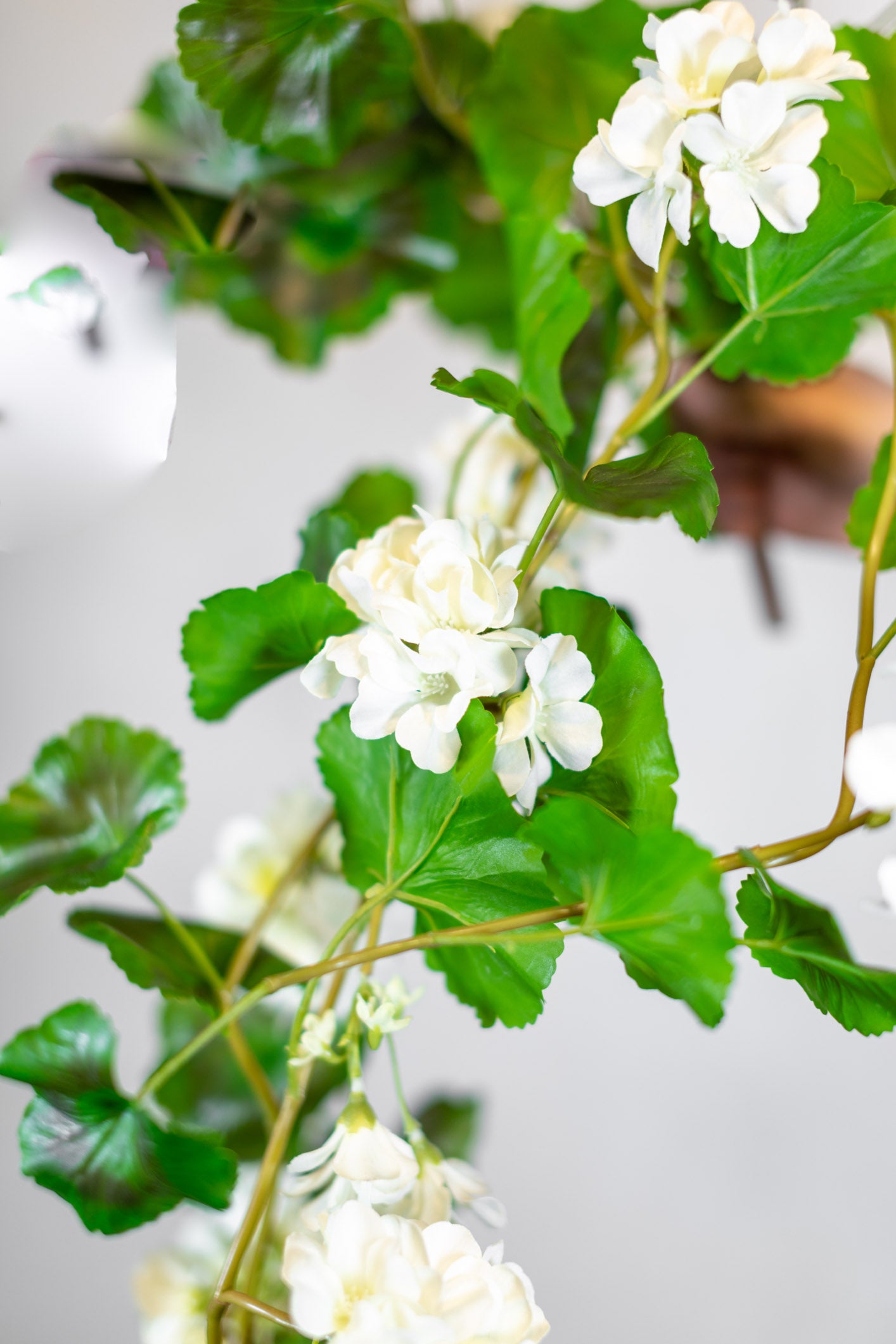 Natural Touch Summer Hanging White Geranium Plant UV