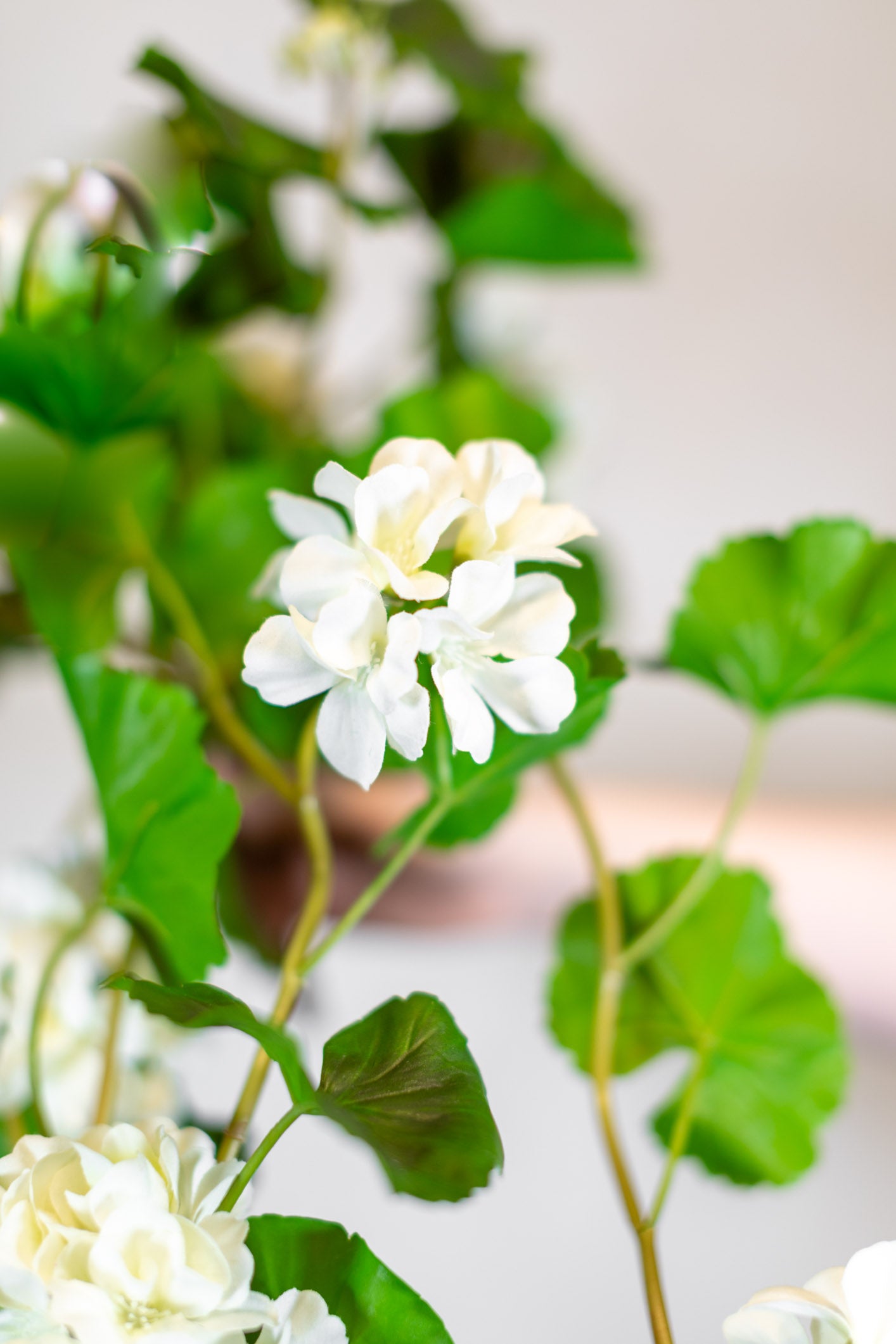 Natural Touch Summer Hanging White Geranium Plant UV