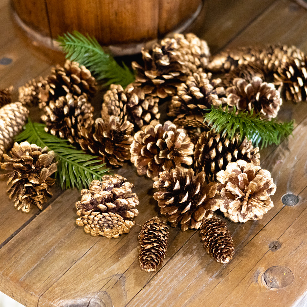 Cylinder of Assorted Gold Tipped Pinecones & Pine Sprigs