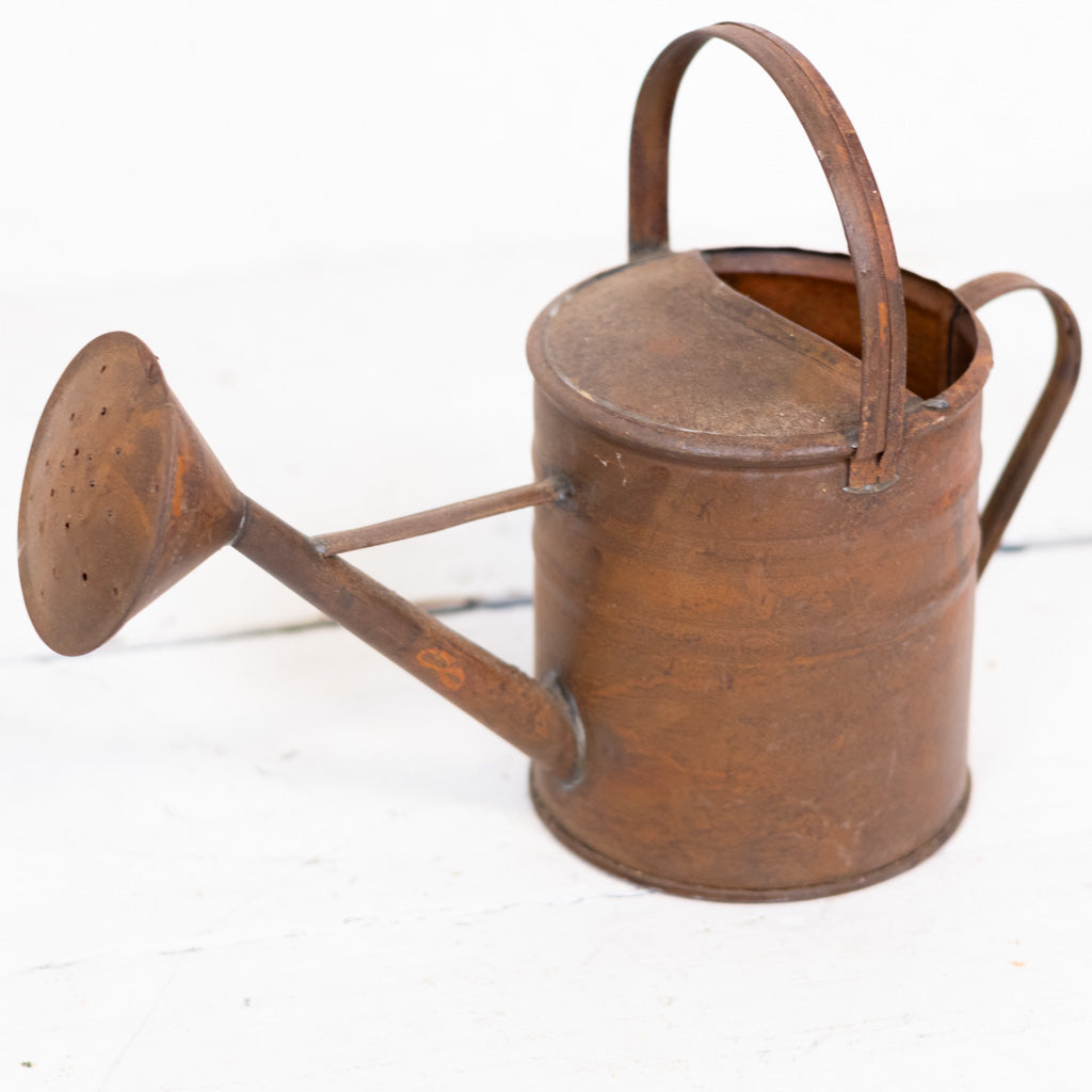 Copper Patina Metal Watering Can Small