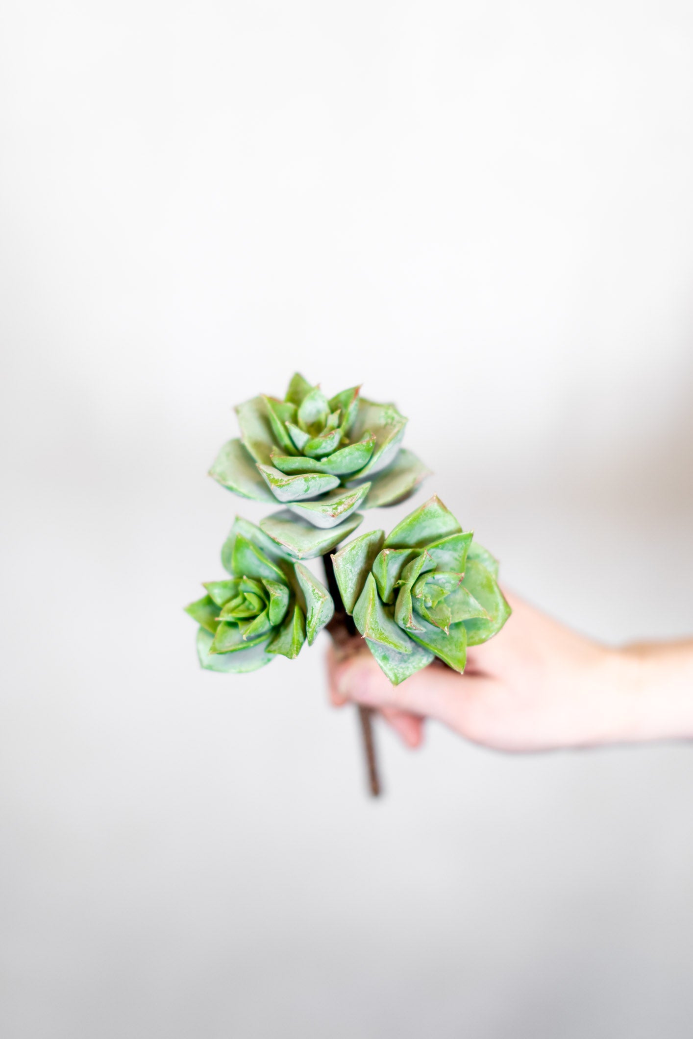 Triple Rosette Succulent Pick