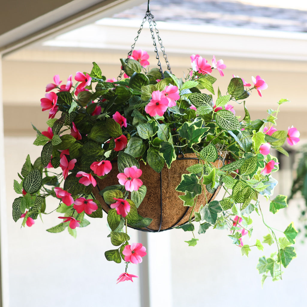 Impatients and Mixed Greens Hanging Basket