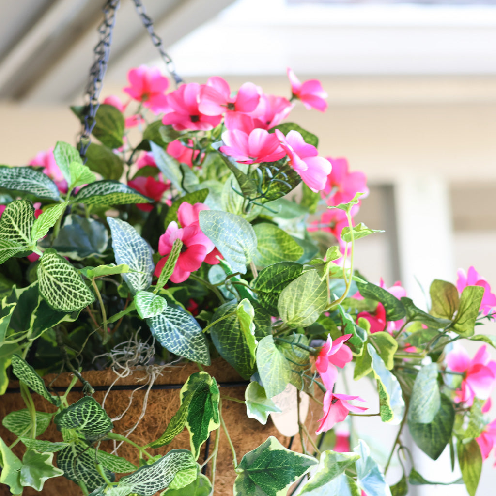 Impatients and Mixed Greens Hanging Basket