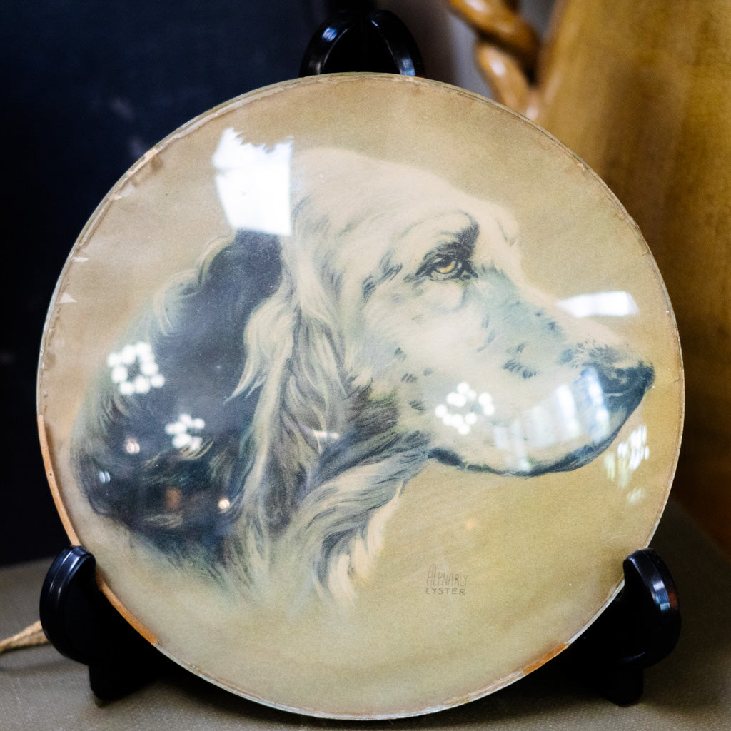 Birddog Convex Glass