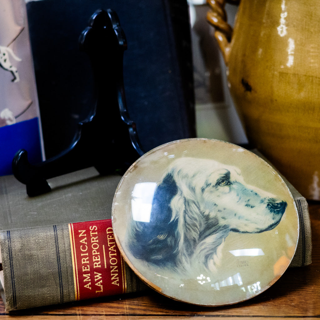 Birddog Convex Glass