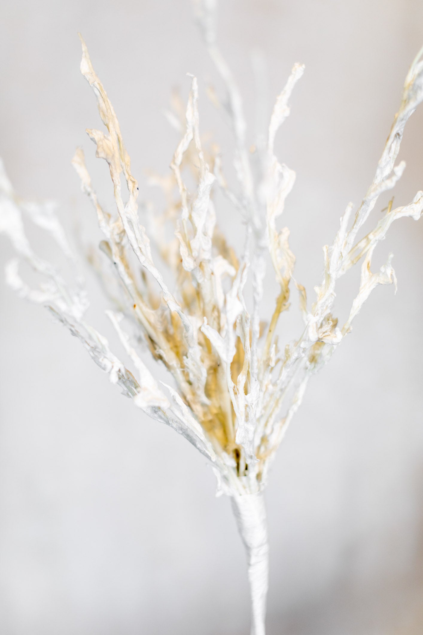 Sea Coral Blossom Stem