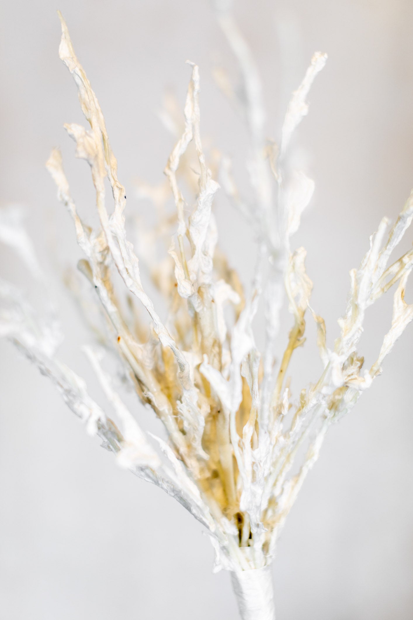 Sea Coral Blossom Stem