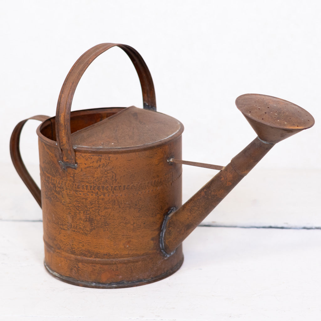 Copper Patina Metal Watering Can Large