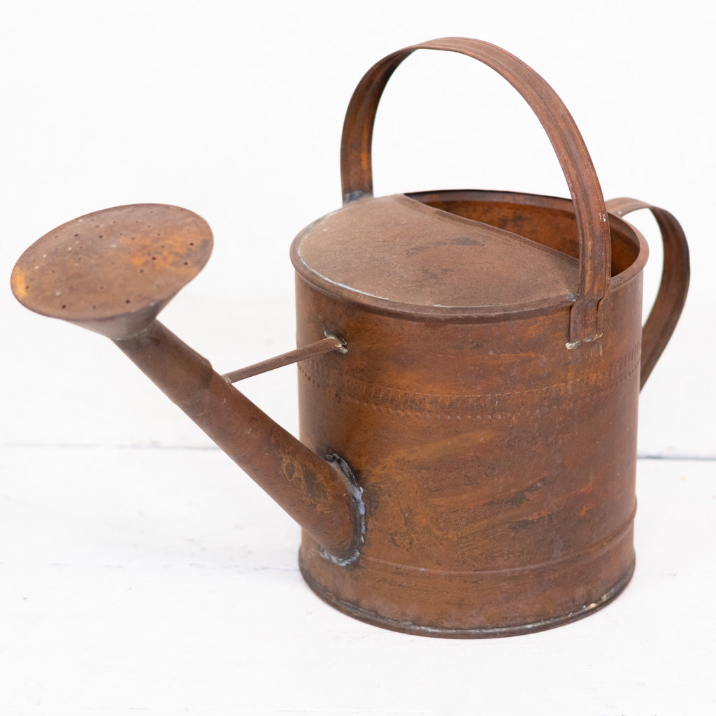 Copper Patina Metal Watering Can Large