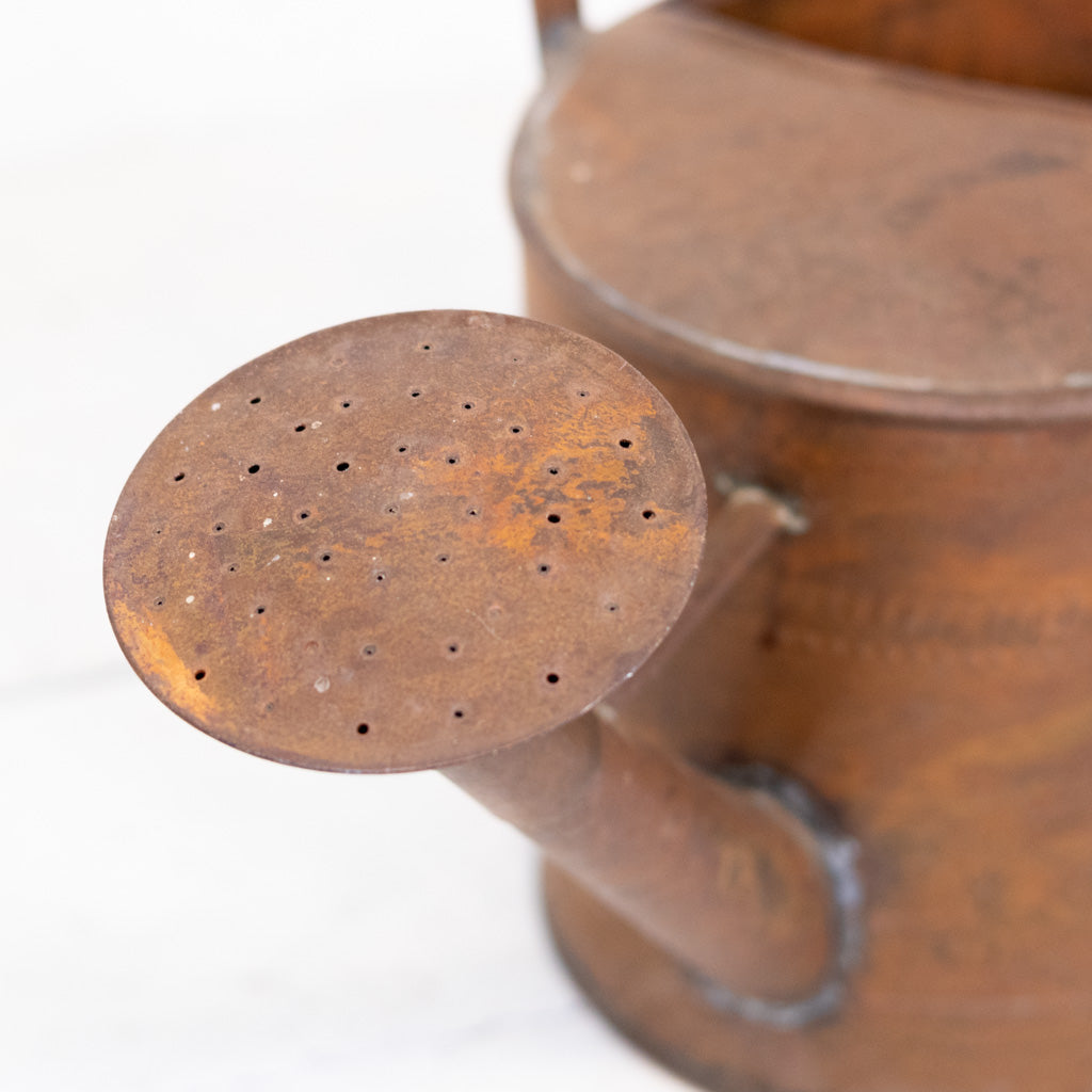 Copper Patina Metal Watering Can Large