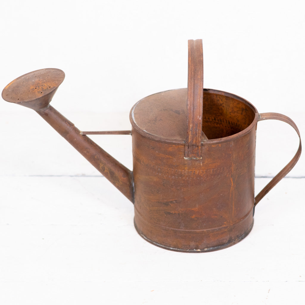 Copper Patina Metal Watering Can Large