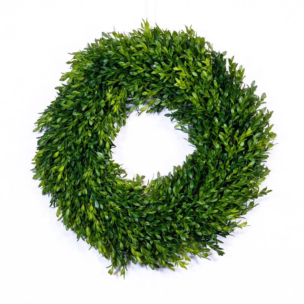 18" D Boxwood Wreath