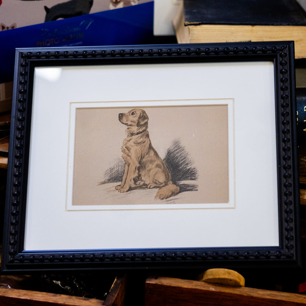 Framed Vintage Golden Retriever Sketch