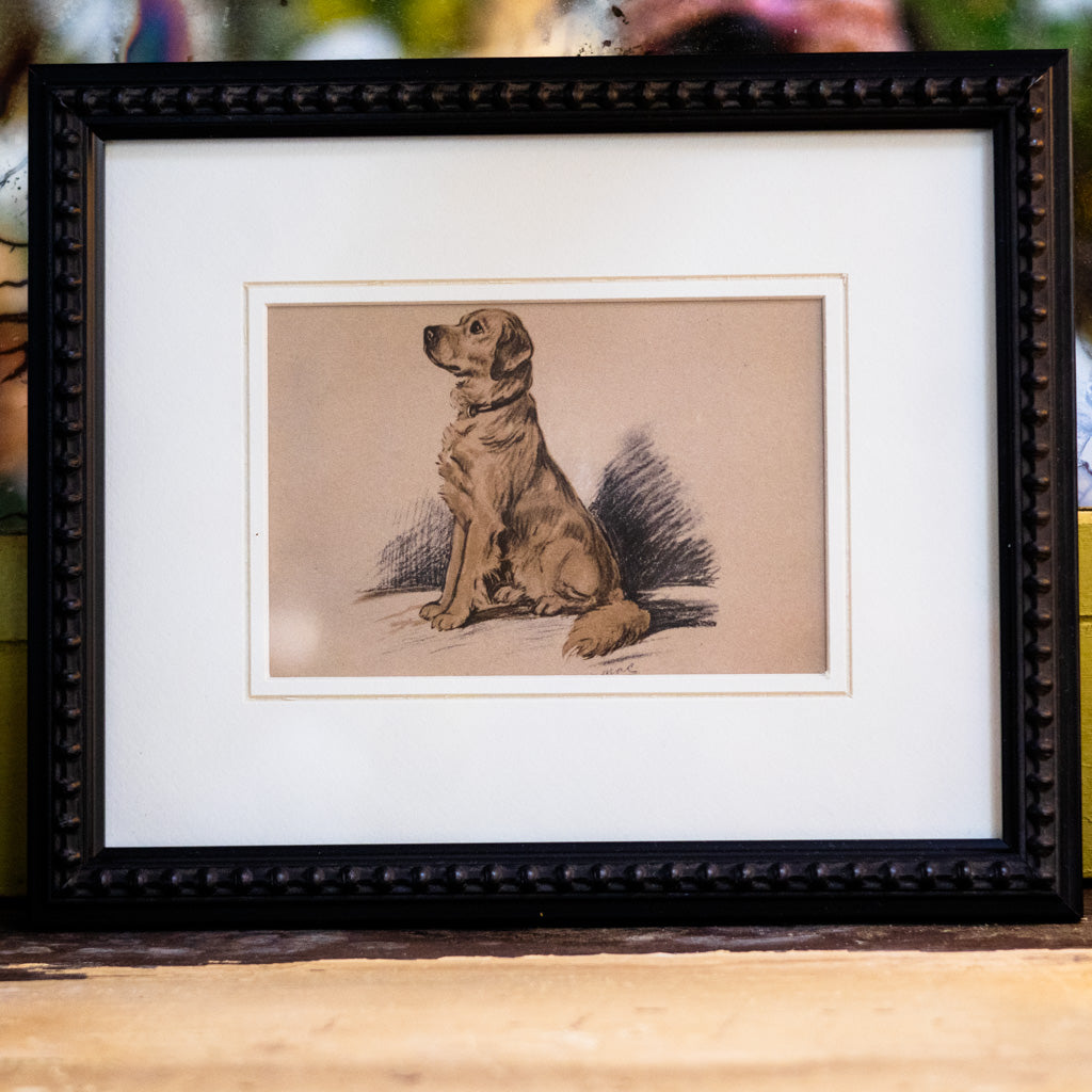 Framed Vintage Golden Retriever Sketch