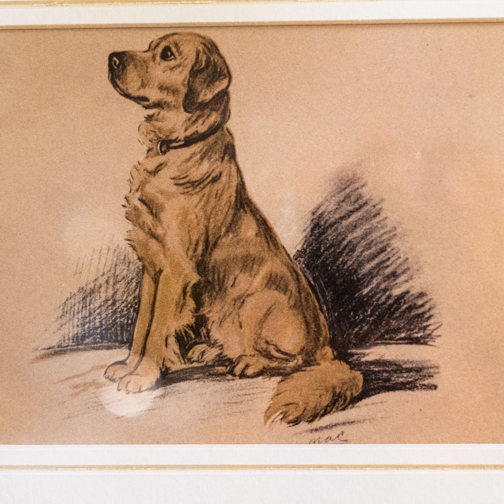Framed Vintage Golden Retriever Sketch