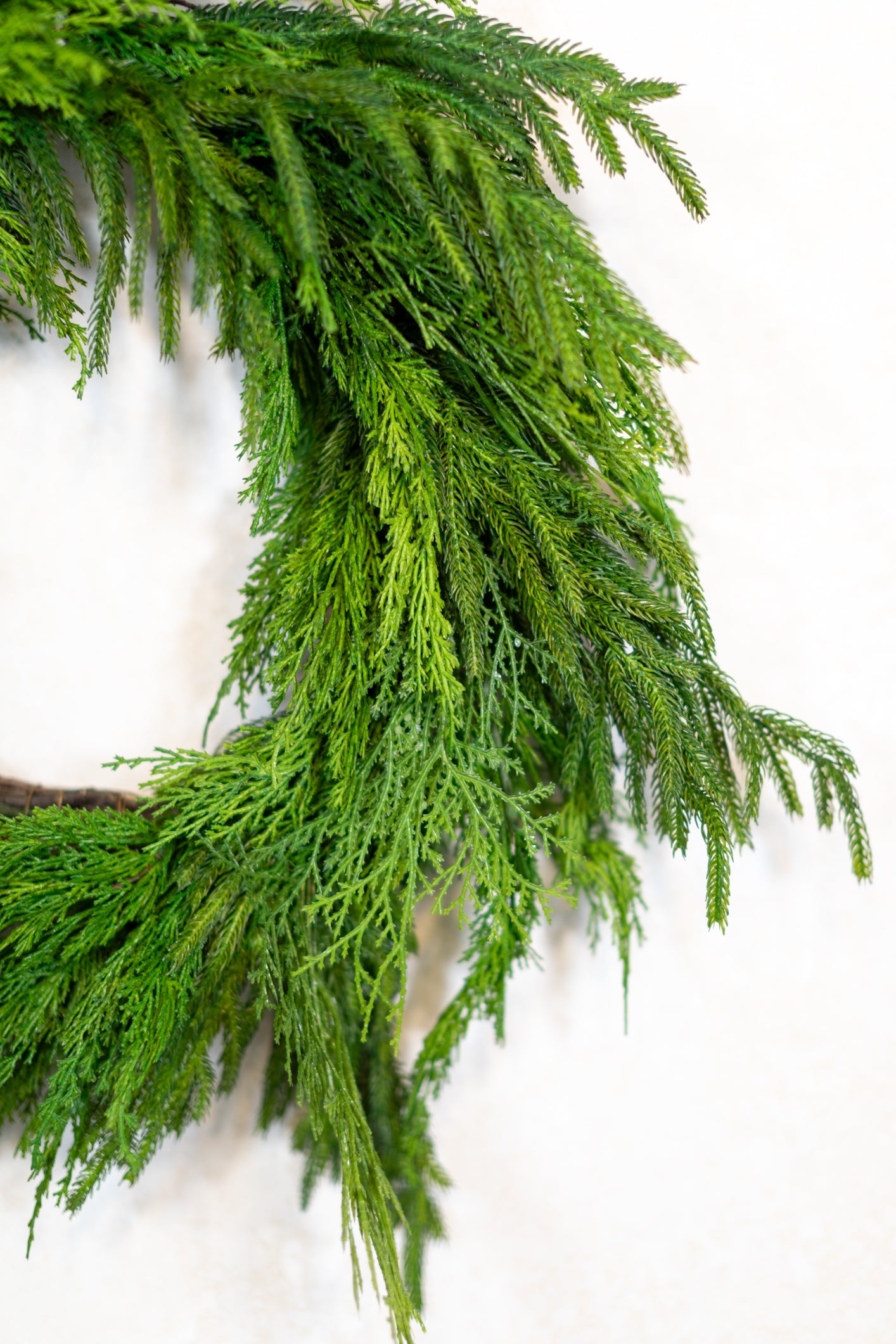 Woodland Evergreen Wreath