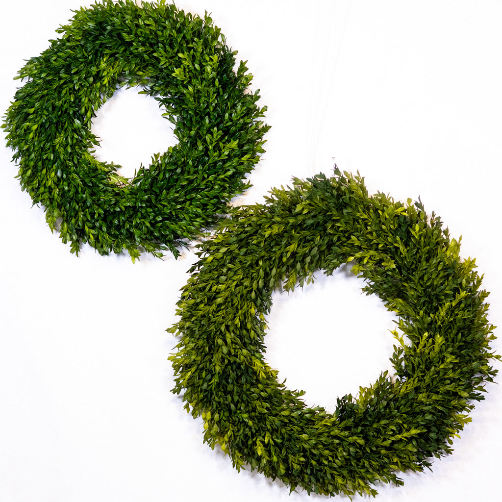 24"D Boxwood Wreath Large