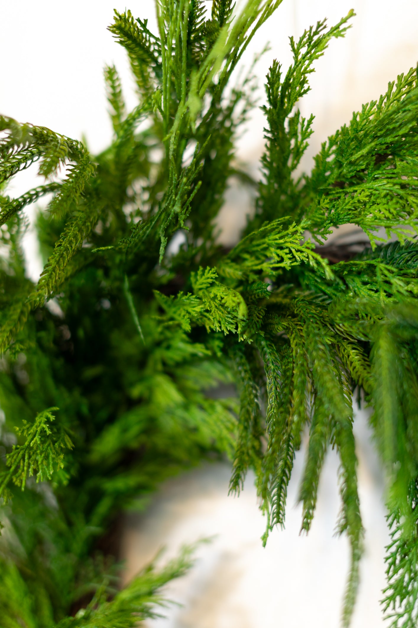Woodland Evergreen Wreath