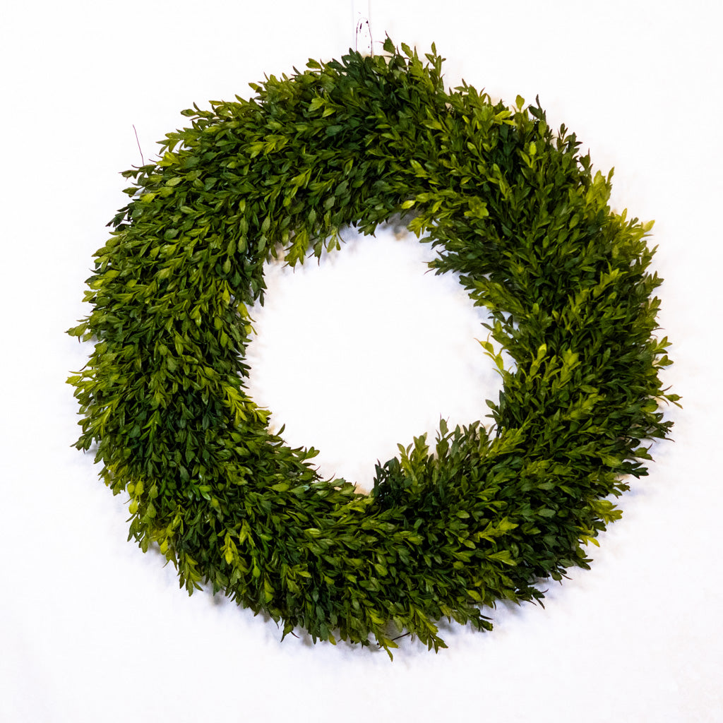 24"D Boxwood Wreath Large