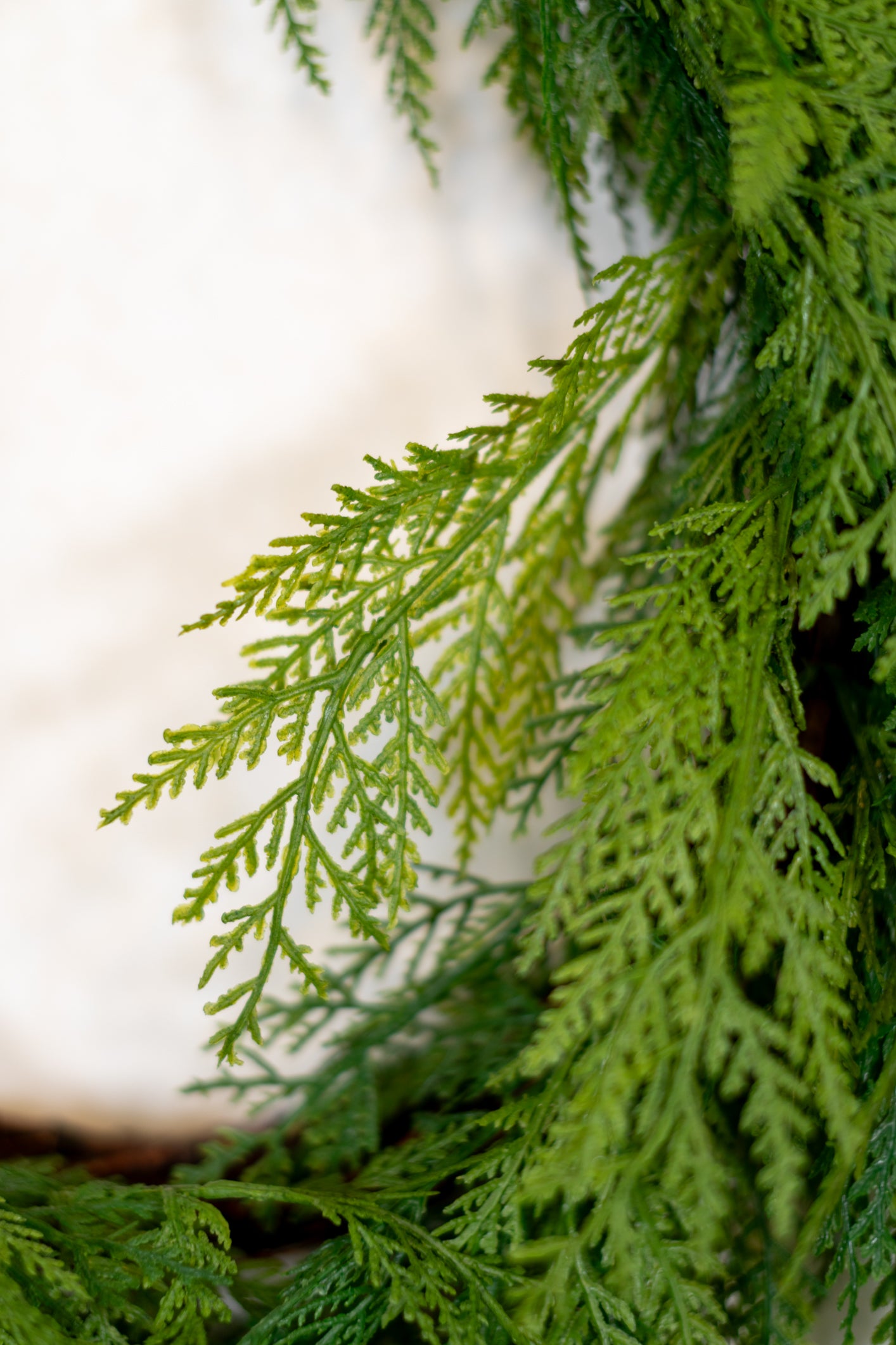 Cedar Crescent Wreath Real Touch