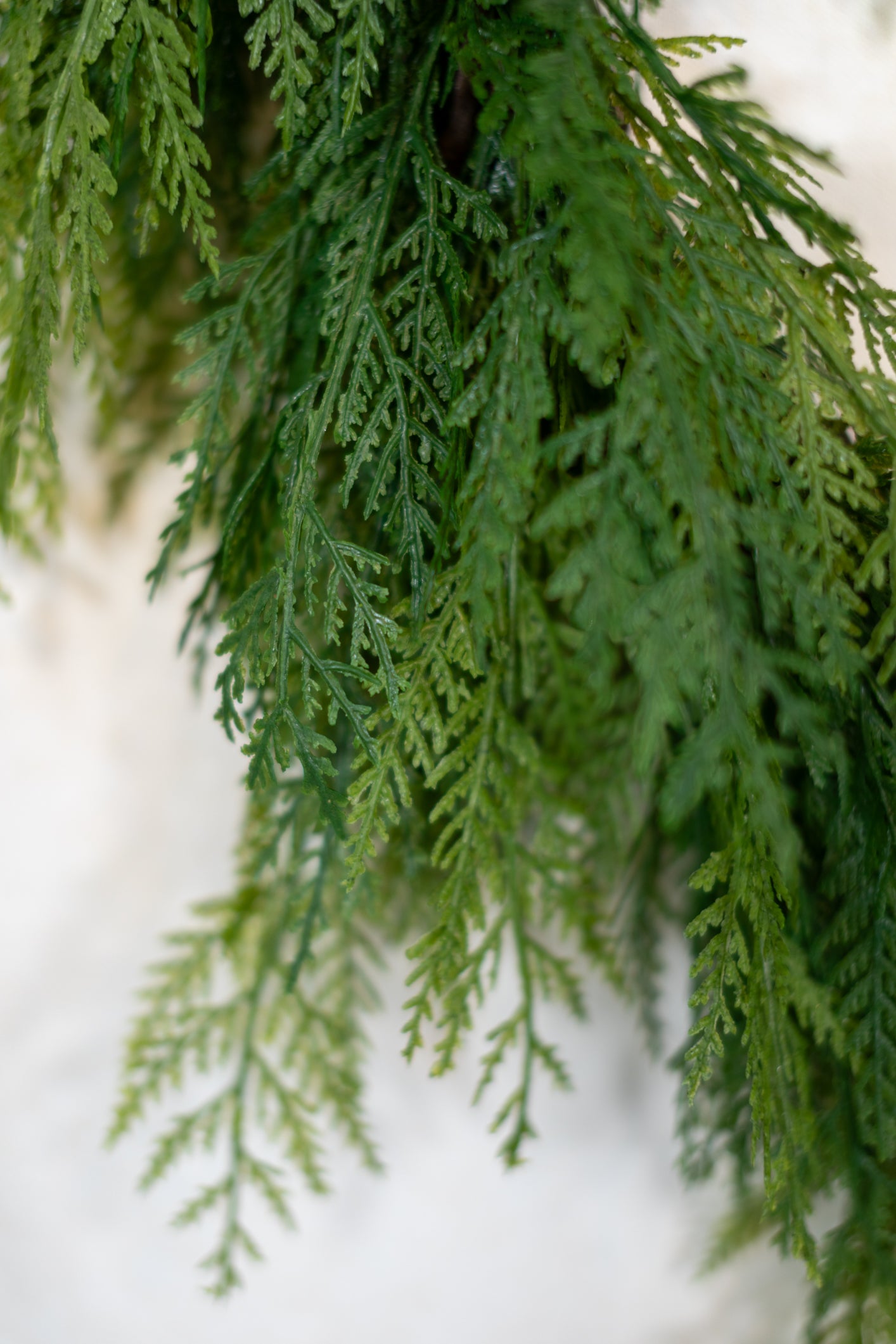 Cedar Crescent Wreath Real Touch