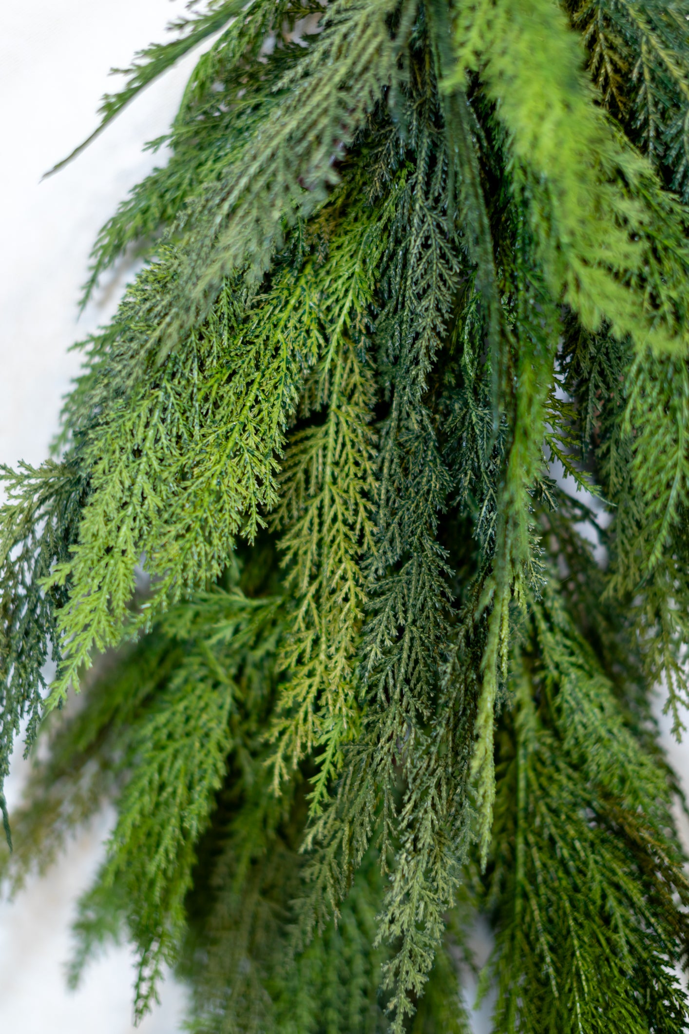 Long Cedar Teardrop