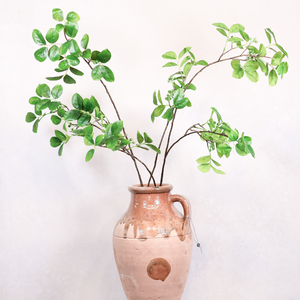 Foliage with Green Berry Branch