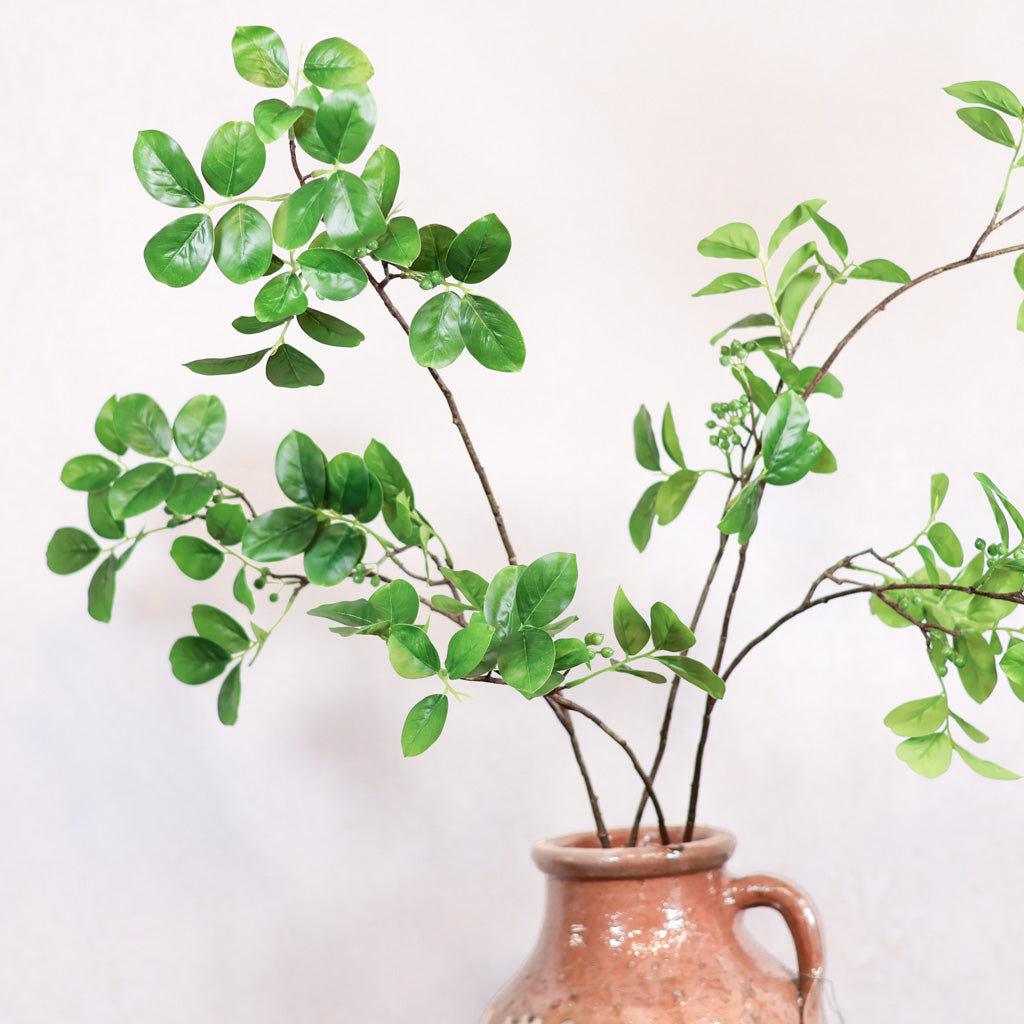 Foliage with Green Berry Branch