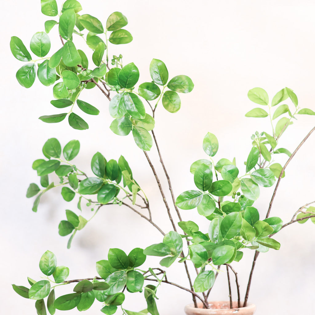 Foliage with Green Berry Branch