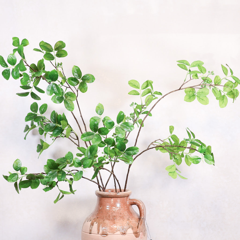 Foliage with Green Berry Branch