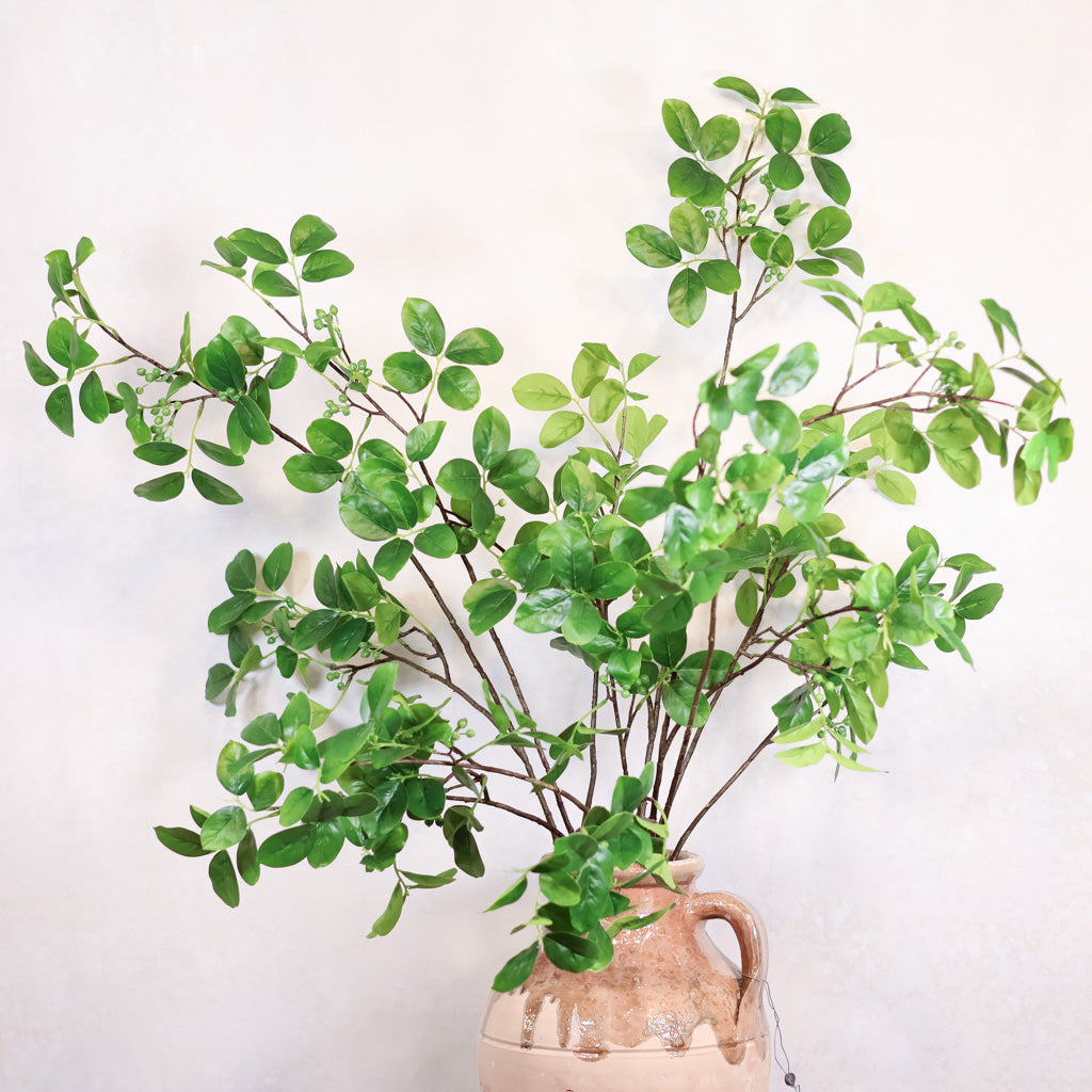 Foliage with Green Berry Branch