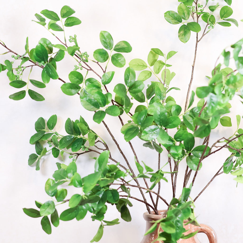 Foliage with Green Berry Branch