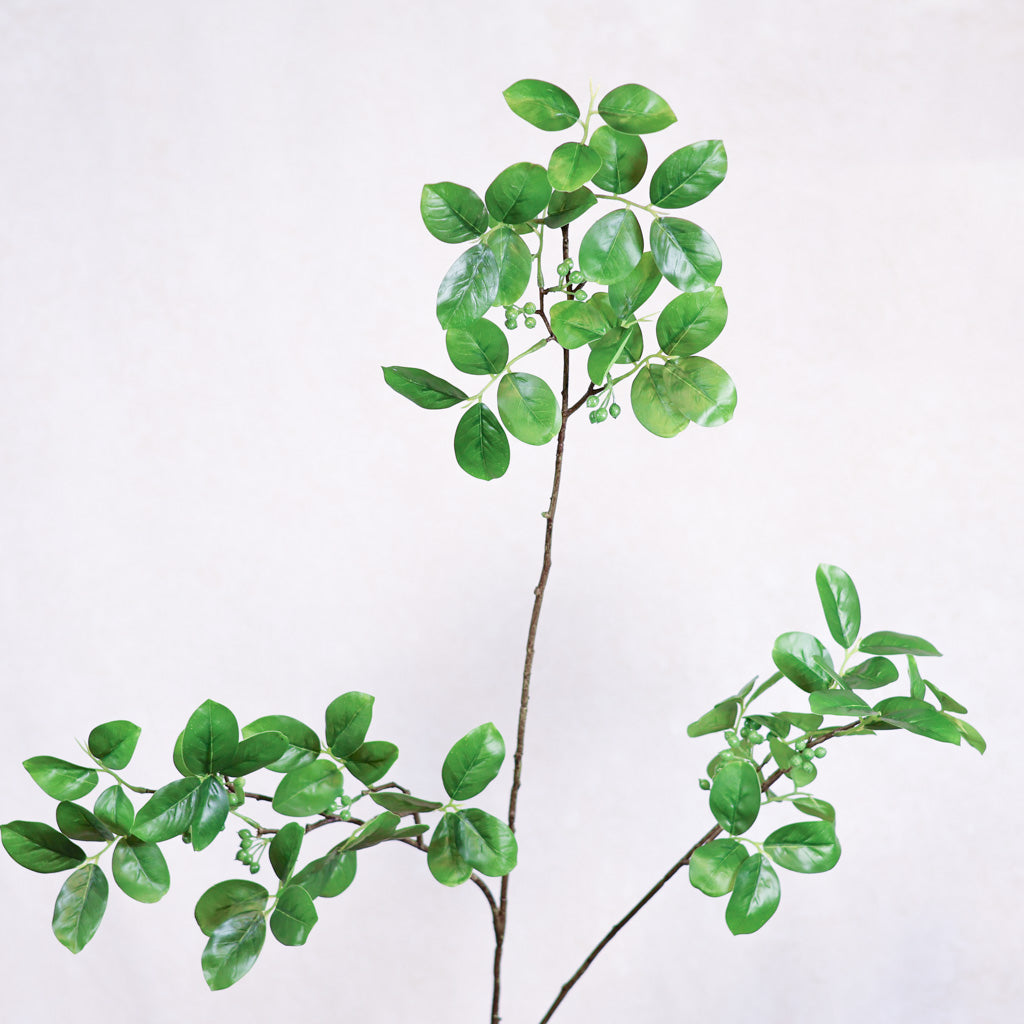 Foliage with Green Berry Branch