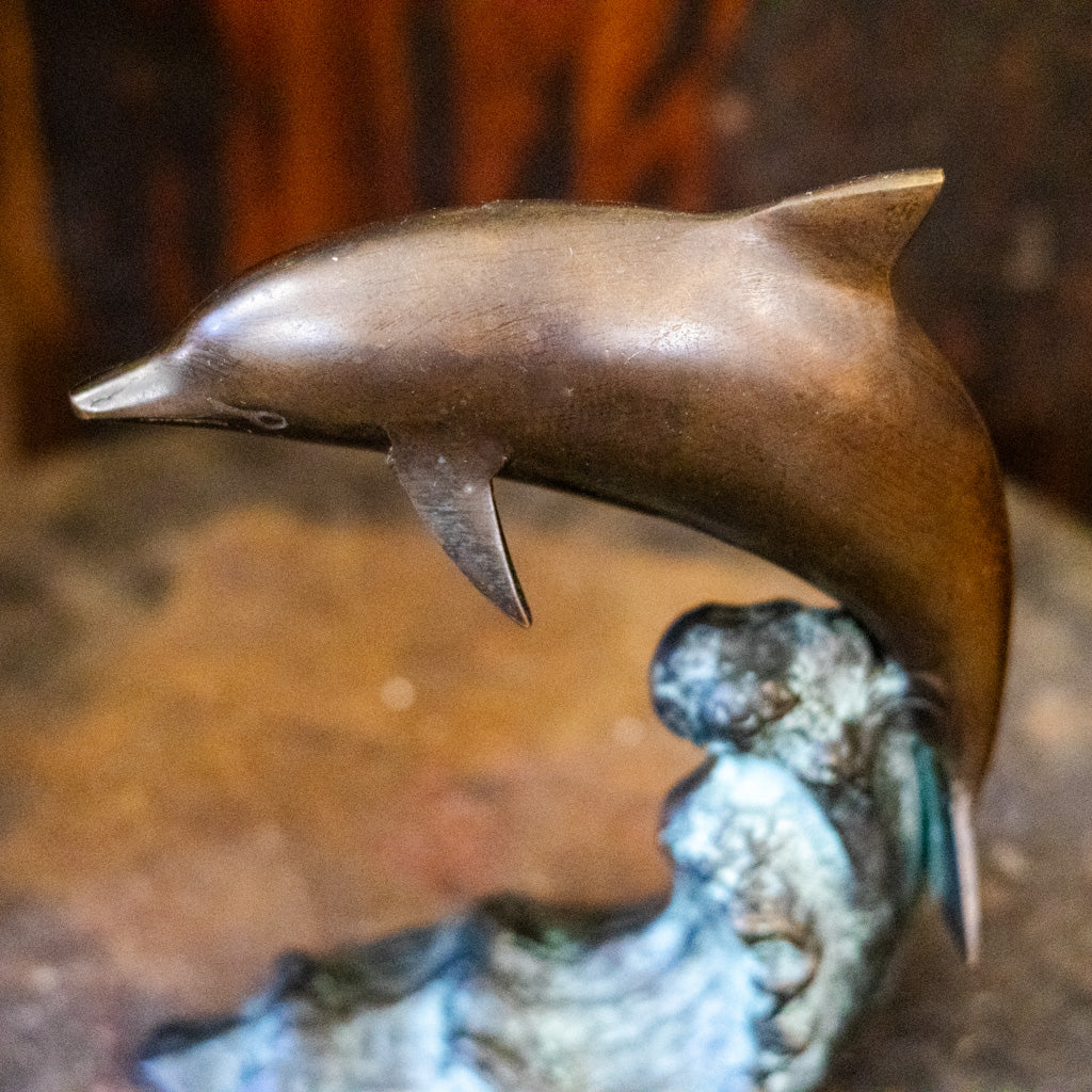 Bronze Dolphin