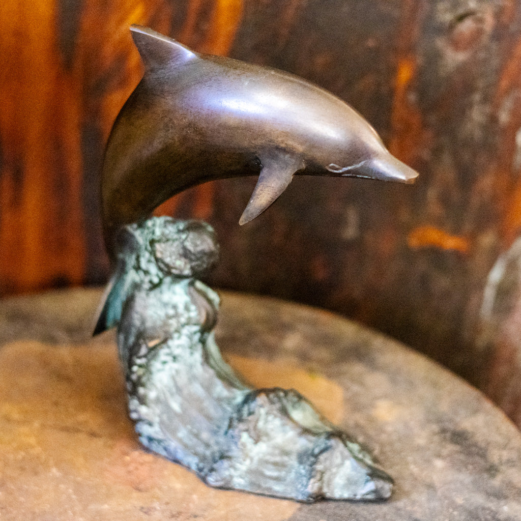 Bronze Dolphin