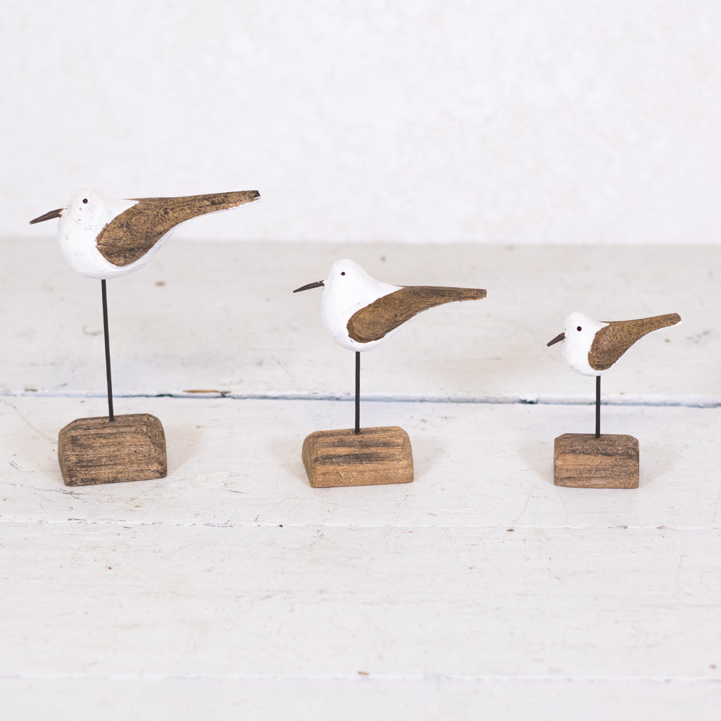 Seagull on Driftwood Medium