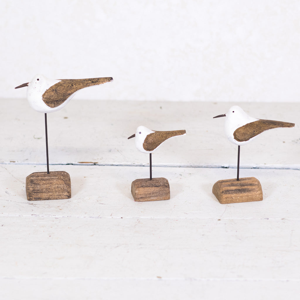 Seagull on Driftwood Short