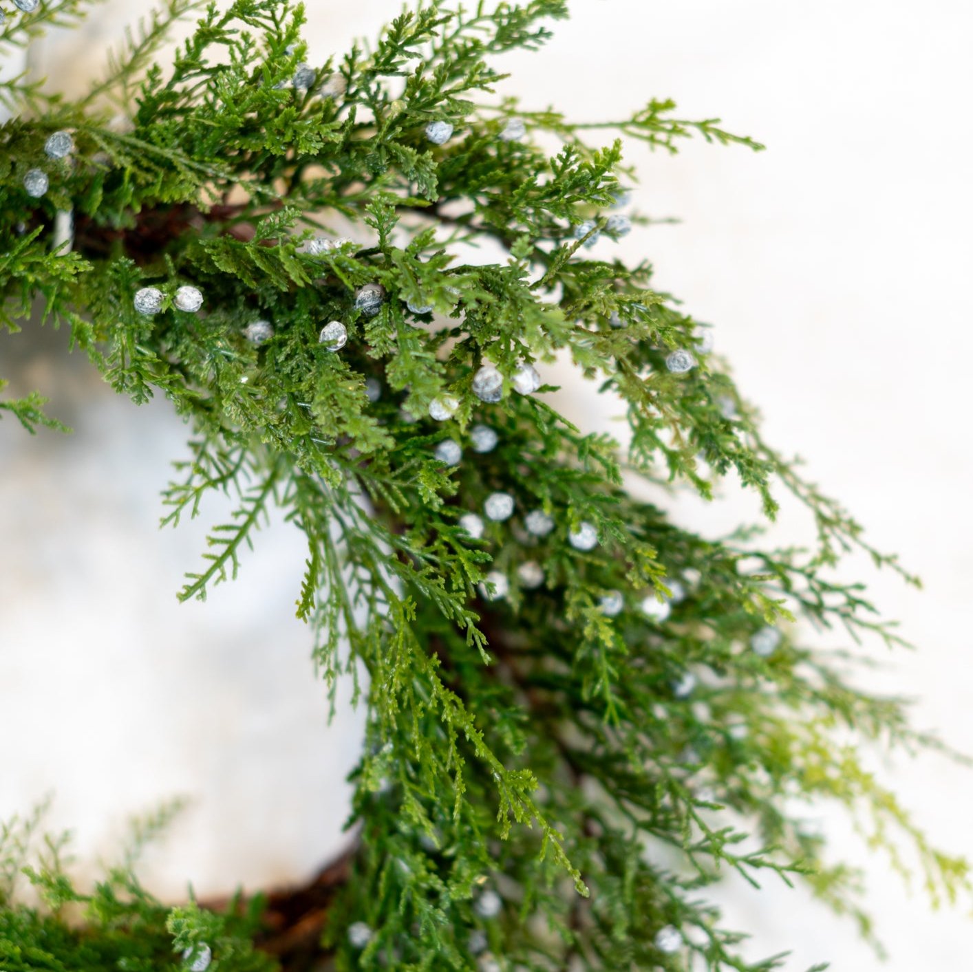 24”D Juniper Seeded Wreath