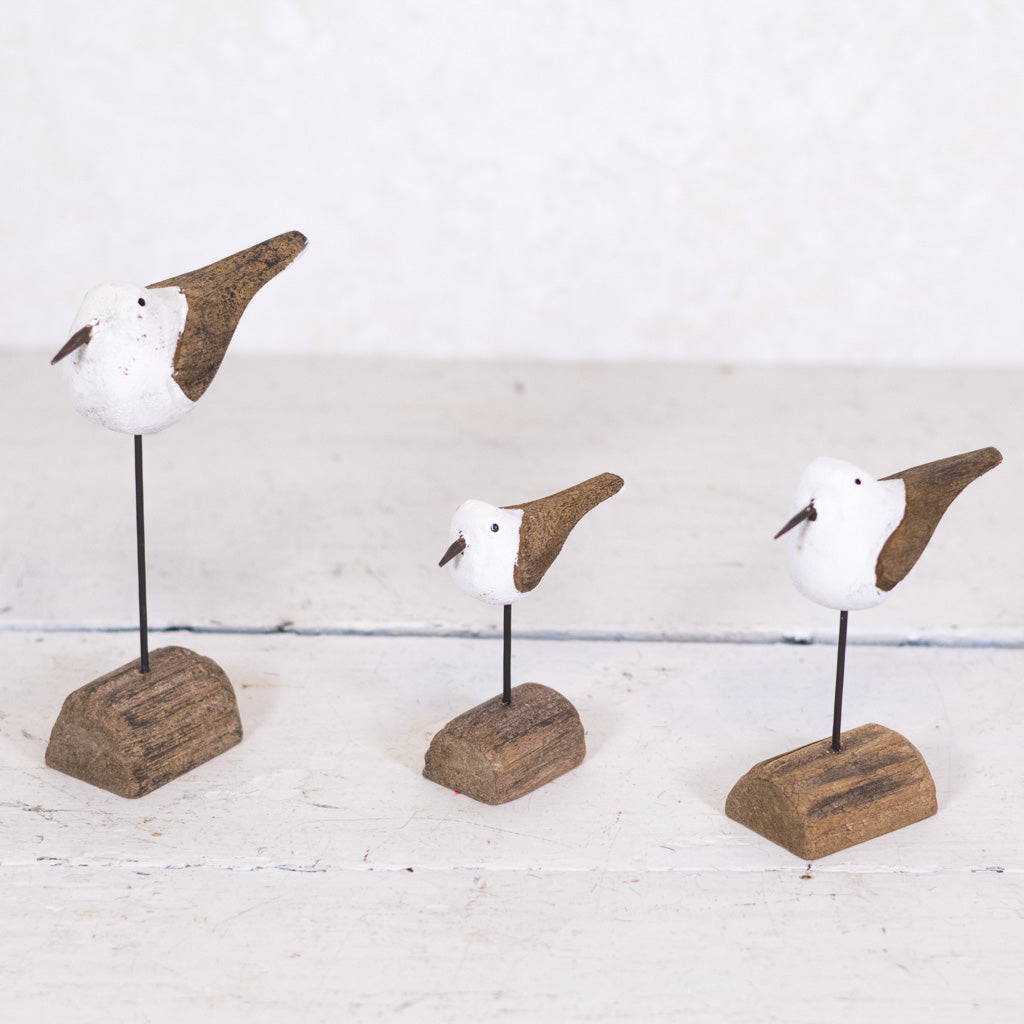 Seagull on Driftwood Short