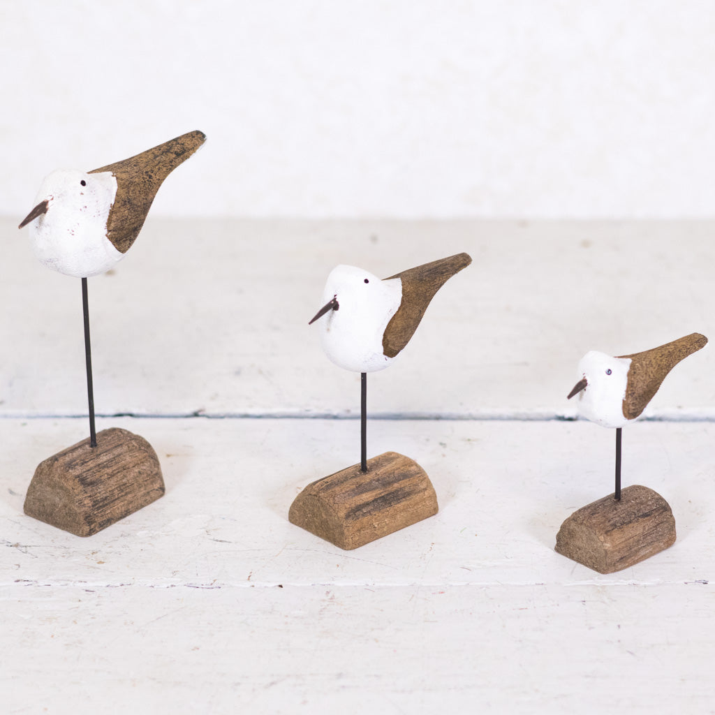 Seagull on Driftwood Medium