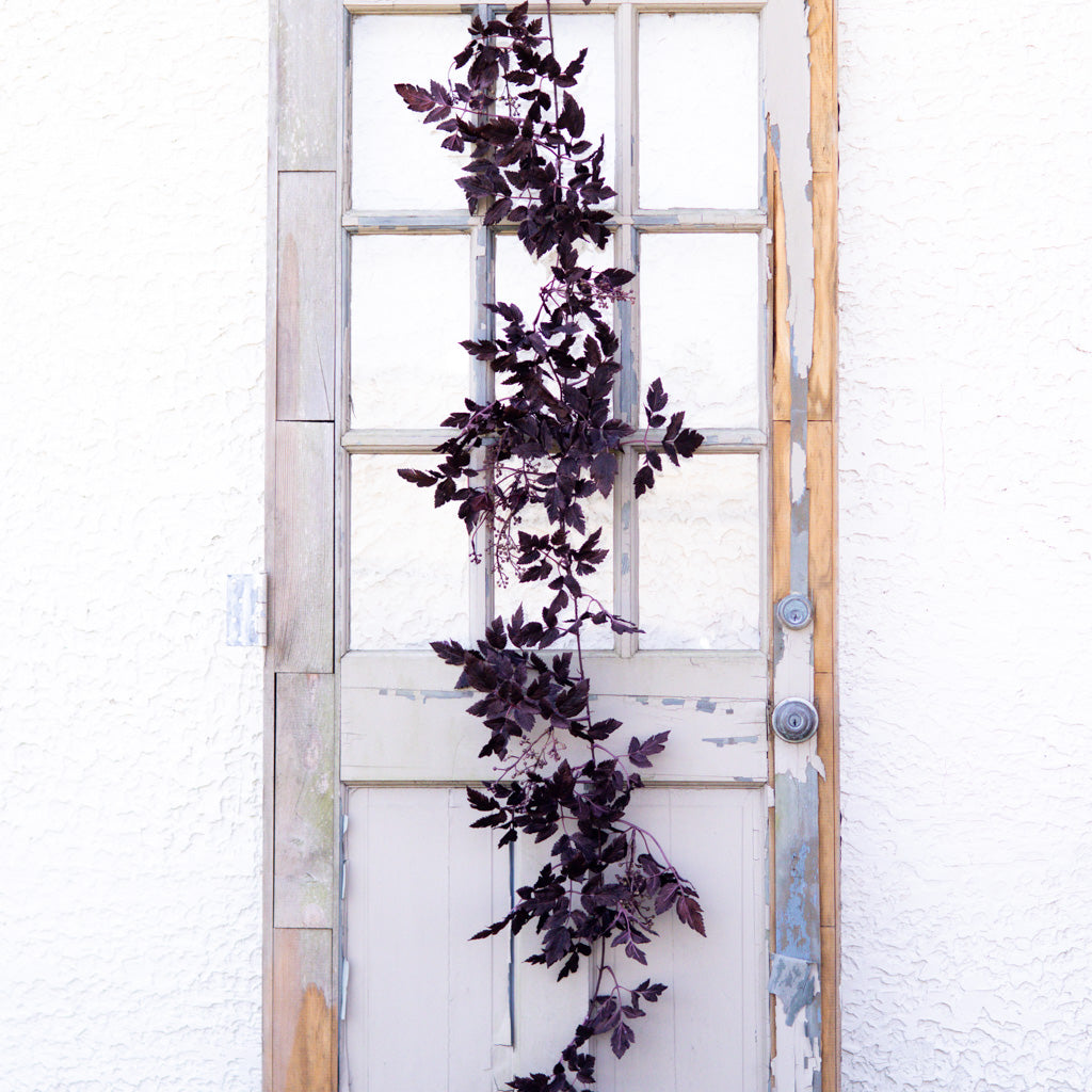 Autumn Wine Ruscus with Berry Garland