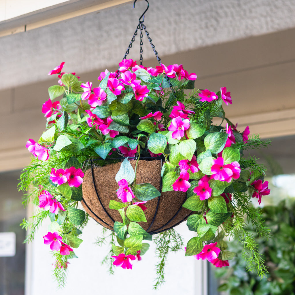 UV Pink Impatiens and Asparagus Hanging Basket