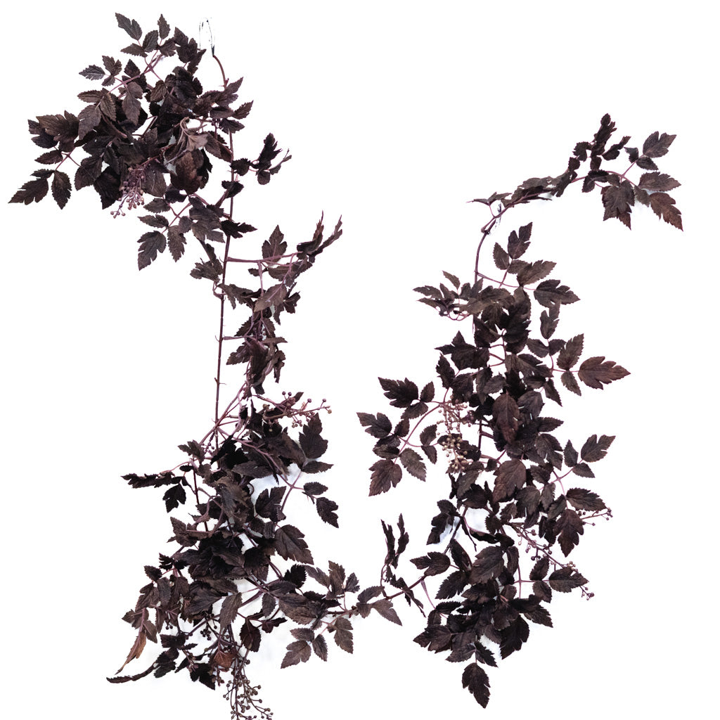 Autumn Wine Ruscus with Berry Garland