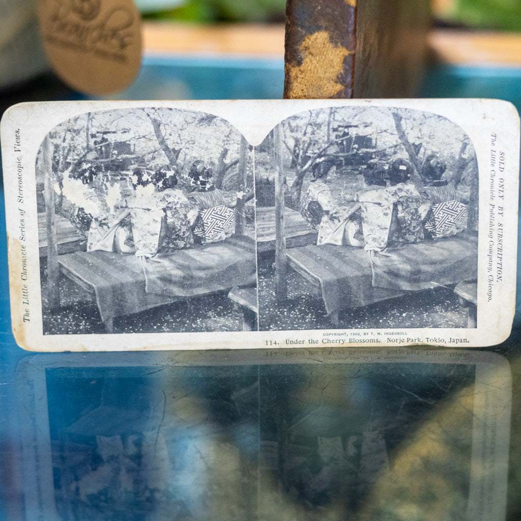 Little Chronicle Series Stereoview 114- Under the Cherry Blossoms