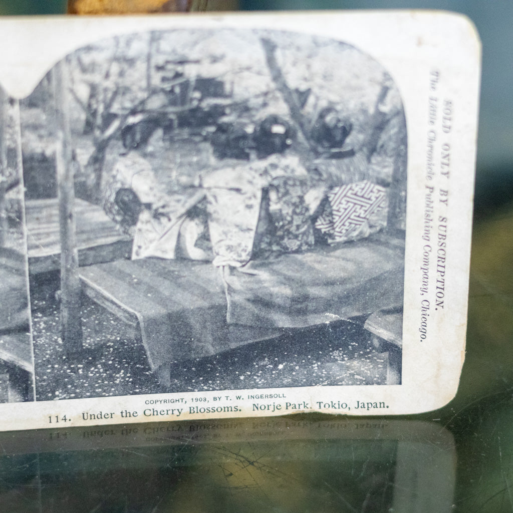 Little Chronicle Series Stereoview 114- Under the Cherry Blossoms