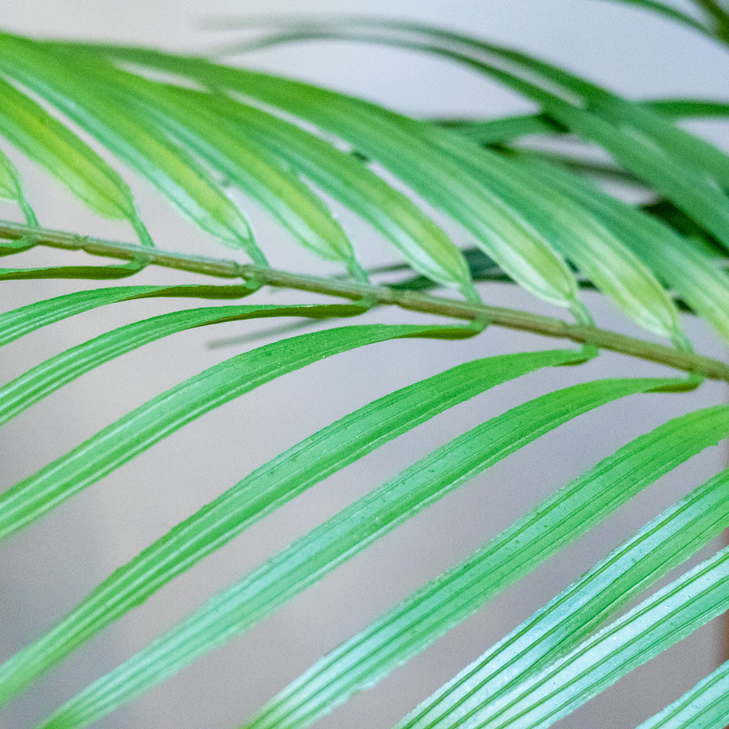 48" Areca Palm Tree Short in Pot